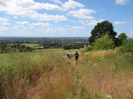 Greensand Way Nr Barn Hill